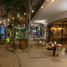 1 Bedroom Apartment for rent in Cozumel, Quintana Roo, Cozumel, Quintana Roo