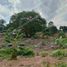 Terrain à vendre à La Mesa, Cundinamarca, La Mesa