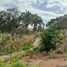 Terrain à vendre à La Mesa, Cundinamarca, La Mesa