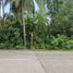  Land for sale in Dauis, Bohol, Dauis