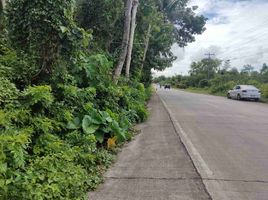  Land for sale in Dauis, Bohol, Dauis