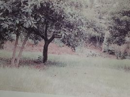  Land for sale in Tenango Del Valle, Mexico, Tenango Del Valle
