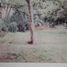  Land for sale in Tenango Del Valle, Mexico, Tenango Del Valle