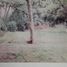  Land for sale in Tenango Del Valle, Mexico, Tenango Del Valle