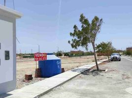  Grundstück zu verkaufen in Castilla, Piura, Castilla, Piura, Piura
