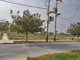  Grundstück zu verkaufen in Piura, Piura, Piura, Piura, Piura