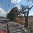  Land for sale in Zaragoza, San Luis Potosi, Zaragoza