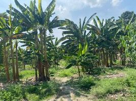  Land for sale in Palmira, Valle Del Cauca, Palmira