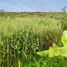  Terreno (Parcela) en venta en Nabón, Azuay, El Progreso (Cab. En Zhota), Nabón