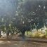  Terreno (Parcela) en venta en México, Huixquilucan, México