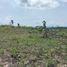  Land for sale in Cebu Central Visayas, Ronda