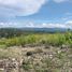  Land for sale in Cebu Central Visayas, Ronda