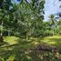  Land for sale in Panabo City, Davao, Panabo City, Davao del Norte