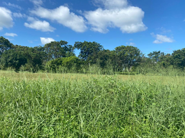  Land for sale in Las Pinas City, Metro Manila, Las Pinas City