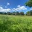  Land for sale in Las Pinas City, Metro Manila, Las Pinas City