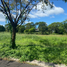  Land for sale in Las Pinas City, Metro Manila, Las Pinas City