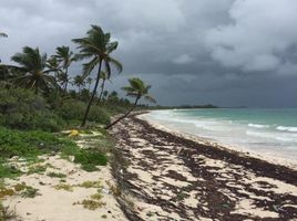  Grundstück zu verkaufen in Cozumel, Quintana Roo, Cozumel