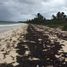  Grundstück zu verkaufen in Cozumel, Quintana Roo, Cozumel