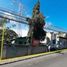  Land for sale in Muntinlupa City, Metro Manila, Muntinlupa City
