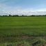  Land for sale in Central Luzon, San Miguel, Bulacan, Central Luzon