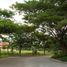  Land for sale at Stonecrest, San Pedro City