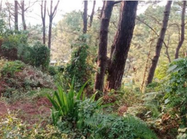  Land for sale in Cordillera, Baguio City, Benguet, Cordillera