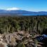  Land for sale in Chile, Puerto Varas, Llanquihue, Los Lagos, Chile