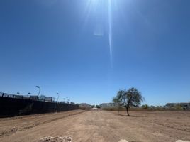  Grundstück zu verkaufen in Cajeme, Sonora, Cajeme