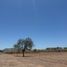  Land for sale in Cajeme, Sonora, Cajeme