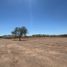  Land for sale in Cajeme, Sonora, Cajeme