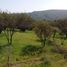  Land for sale in Valparaiso, Quilpue, Valparaiso, Valparaiso