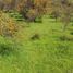 Land for sale in Valparaiso, Quilpue, Valparaiso, Valparaiso