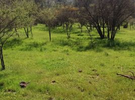  Land for sale in Valparaiso, Quilpue, Valparaiso, Valparaiso