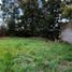  Terreno (Parcela) en venta en Araucanía, Nueva Imperial, Cautín, Araucanía