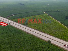  Terreno (Parcela) en venta en El Oro, El Guabo, El Guabo, El Oro