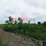  Land for sale in El Guabo, El Oro, El Guabo, El Guabo