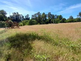  Terreno (Parcela) en venta en Araucanía, Temuco, Cautín, Araucanía