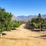 5 Habitación Casa en venta en Melipilla, Santiago, Curacavi, Melipilla