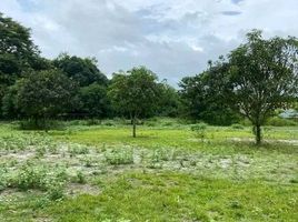  Land for sale in Zambales, Central Luzon, San Marcelino, Zambales