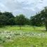  Land for sale in San Marcelino, Central Luzon, San Marcelino