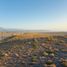  Terreno (Parcela) en venta en Cauquenes, Maule, Pelluhue, Cauquenes