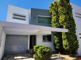 Maison à vendre à San Agustin Tlaxiaca, Hidalgo, San Agustin Tlaxiaca, Hidalgo