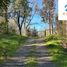  Terreno (Parcela) en venta en Chile, Villarrica, Cautín, Araucanía, Chile
