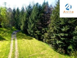  Terreno (Parcela) en venta en Chile, Villarrica, Cautín, Araucanía, Chile