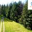  Grundstück zu verkaufen in Villarrica, Araucania, Villarrica, Cautin, Araucania