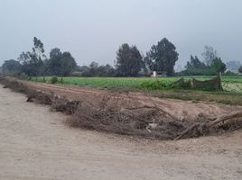  Land for sale in Lurigancho, Lima, Lurigancho, Lima, Lima