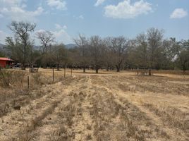  토지을(를) Dist Ocotlan, 오악 사카에서 판매합니다., Dist Ocotlan