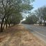  토지을(를) Dist Ocotlan, 오악 사카에서 판매합니다., Dist Ocotlan