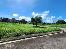  Land for sale in Cavite, Calabarzon, Tagaytay City, Cavite