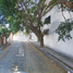 Maison 3 chambre à vendre à Cuernavaca, Morelos, Cuernavaca